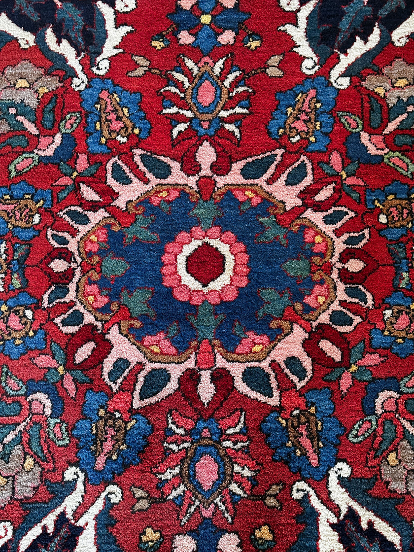 Bachtiar Teppich ca. 200 × 300 cm – rot/dunkelblau & klassisch