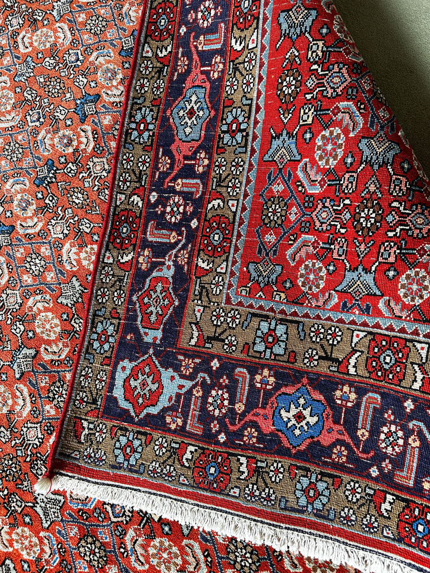 Bidjar Teppich ca. 300 × 200 cm – rot/blau & besonders robust
