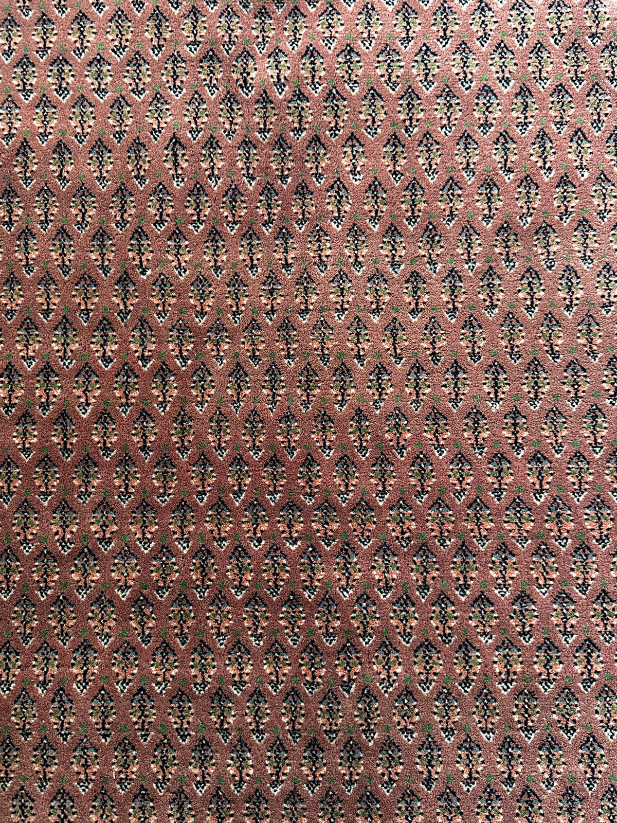 Kaschmir-Mir Teppich ca. 238 × 168 cm – rosé & fein gemustert