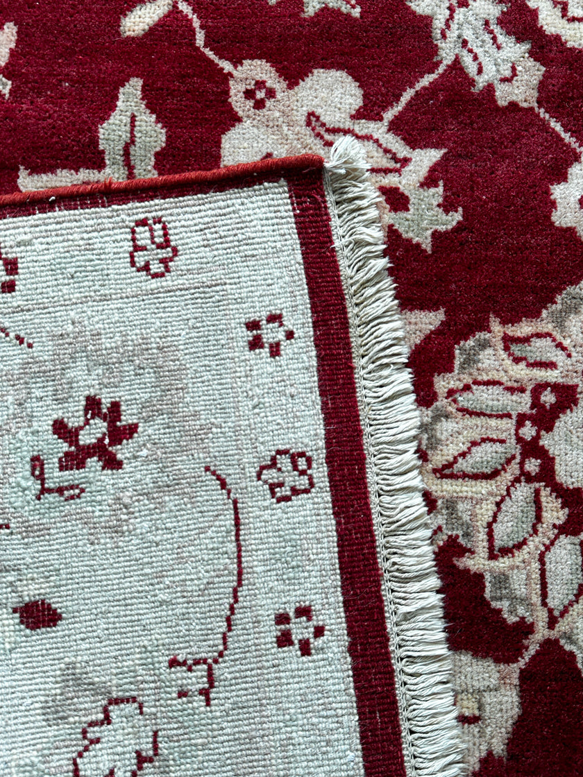 Kasak
