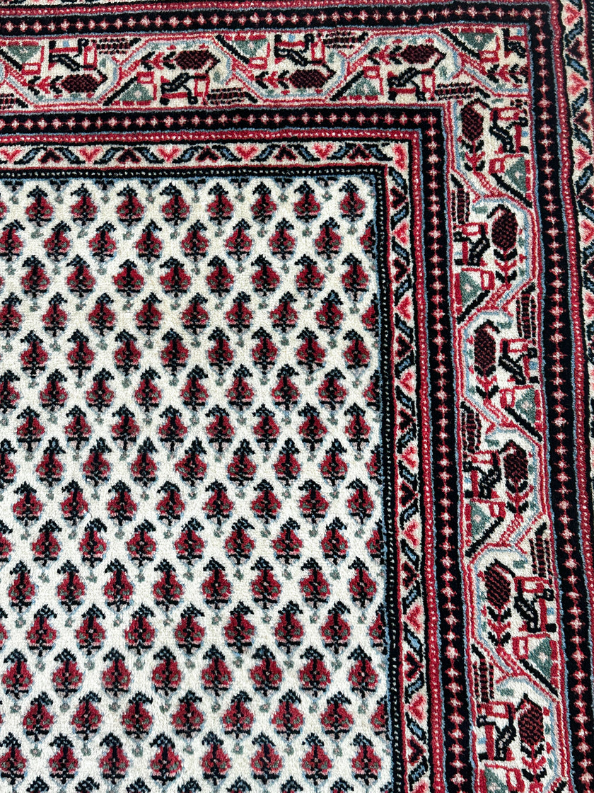 Sarough Mir