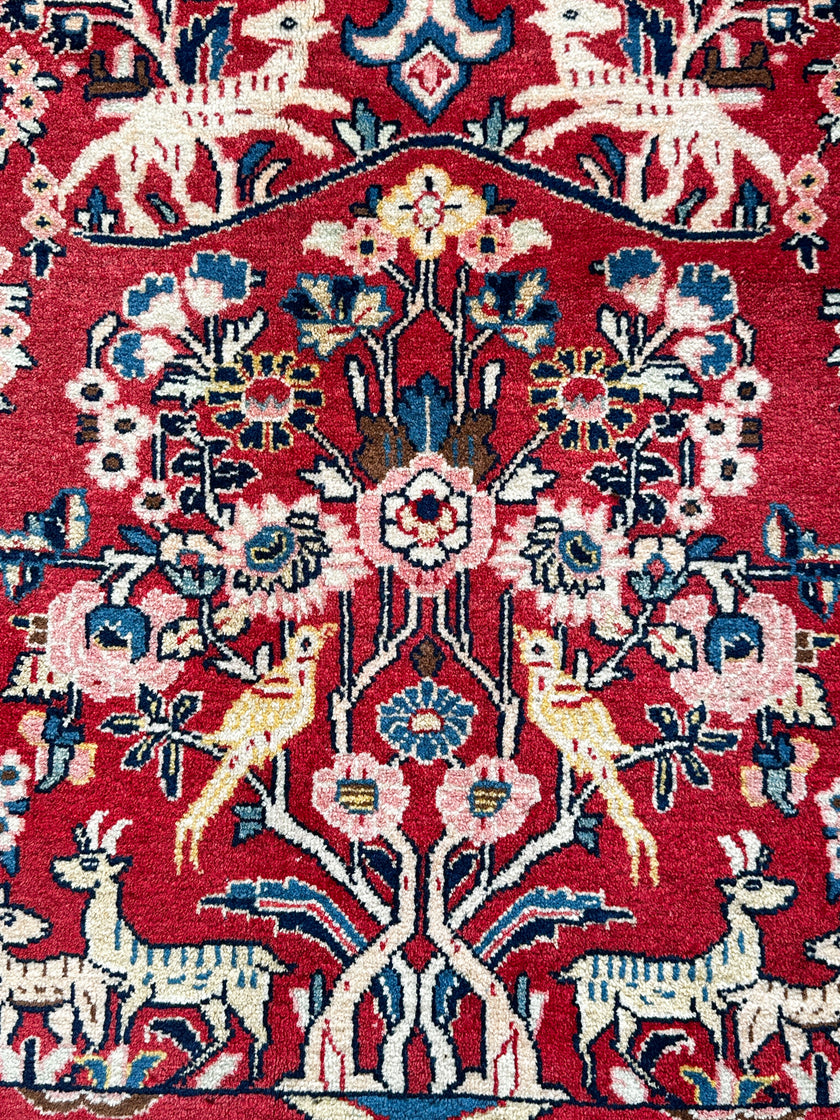 Sarugh Teppich ca. 300 × 200 cm – rot/grün & floral